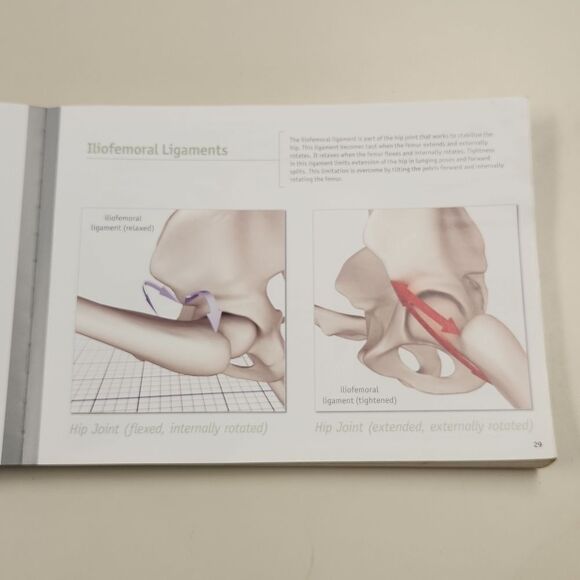 The Key Muscles of Yoga Book 2006 - Picture 7 of 12